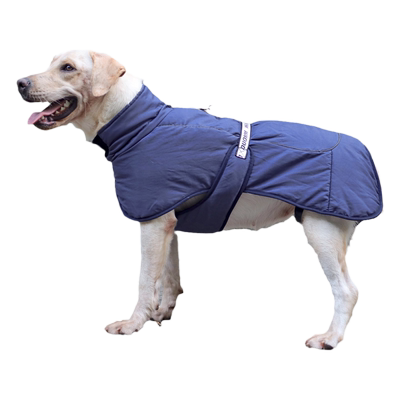 狗保暖防风狗衣服中大型犬秋冬款