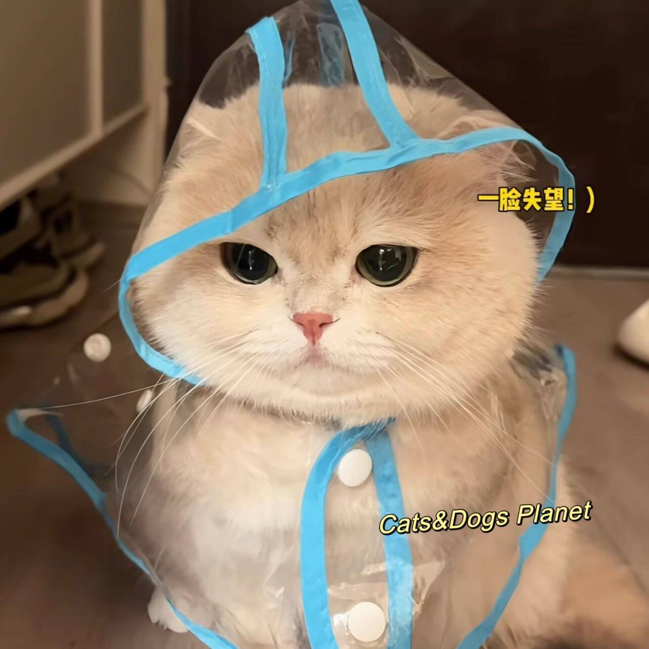 全包透明宠物雨衣猫狗通用带帽披风户外防水出行衣