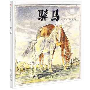 【信谊图书旗舰店】何捷推荐驿马精装硬壳正版儿童3-8岁幼儿园一年级经典硬皮精装硬壳畅销书宝宝早教启蒙认知阅读故事书