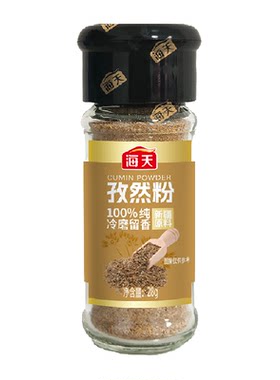 海天新疆孜然粉整粒研磨28g