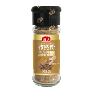 海天孜然粉28g椒盐胡椒粉孜然辣椒粉调料撒腌料家用调味香料烧烤