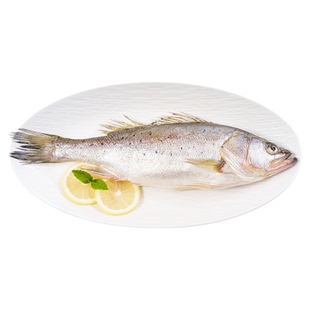 东方甄选三去海鲈鱼低脂肪高蛋白海鲜水产半成品速冻食品烤鱼