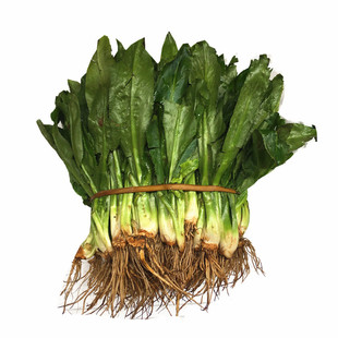 泰式新鲜芫茜刺芹泰国香菜食用芫西凉拌假芫荽鹅蒂帝提香擂茶1斤