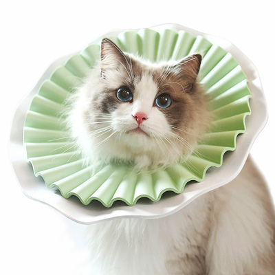 爱萌仕伊丽莎白圈轻便高颜值猫咪