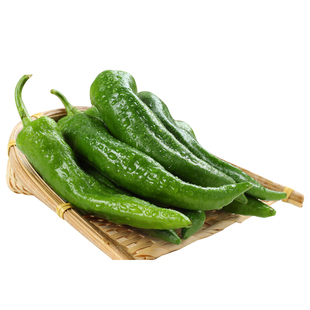 本地辣妹子薄皮土辣椒特辣变态辣农家蔬菜新鲜包邮非樟树港5斤装