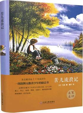苦儿流浪记精装全译本名家名译 中小学生课外阅读书籍世界经典文学小说名著 原版原著全中文完整版