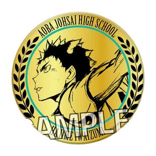 现货PROOF排球少年激战金牌风徽章岩泉一