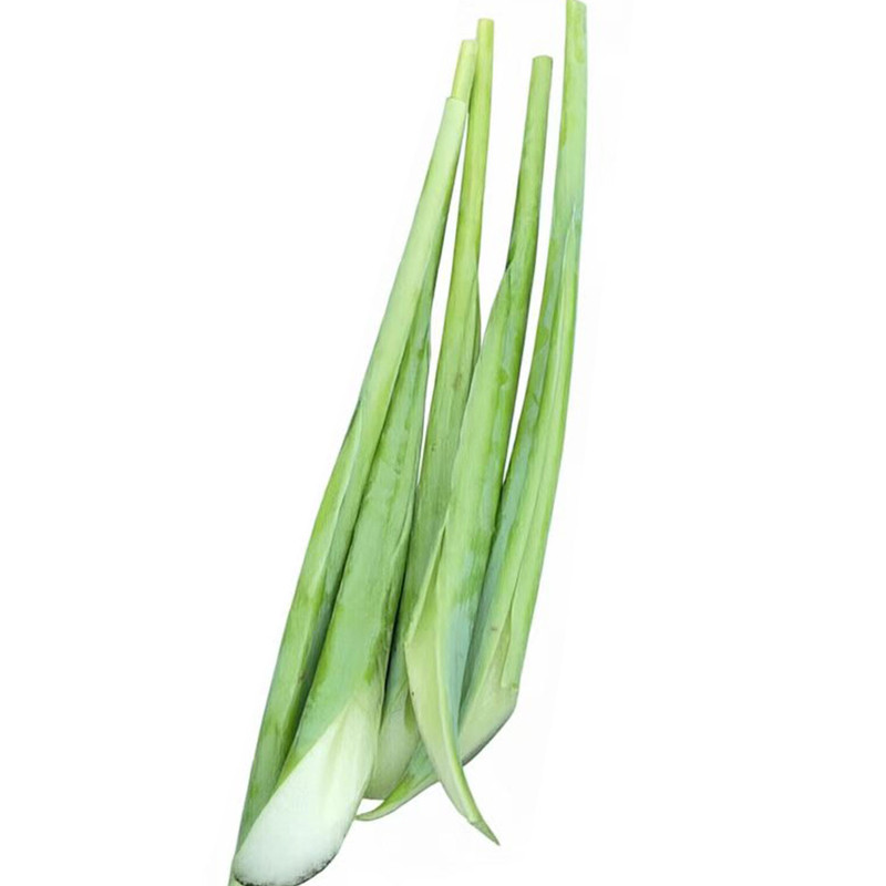 广西新鲜白芋蒙梗芋头不痒喉咙