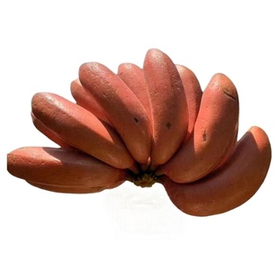 【顺丰速运】海南正宗红皮香蕉新鲜红美人蕉应季水果自然熟包邮