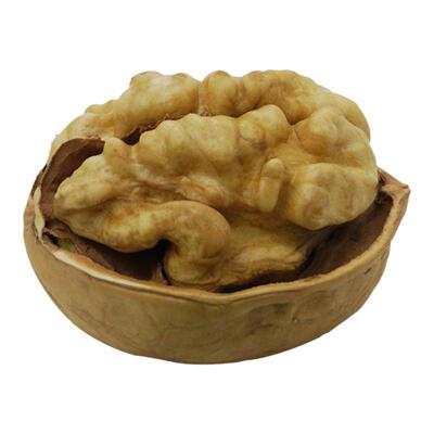 新疆阿克苏185纸皮核桃新货
