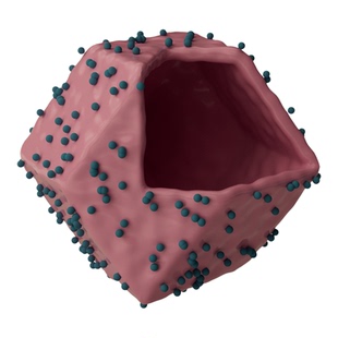 MOF金属有机框架化学科研素材C4D 3D格式源文件热门高清素材模版