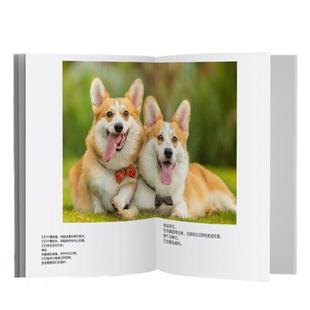 相册宠物纪念册狗狗猫照片书定制作打印成册手工diy洗照片做成书