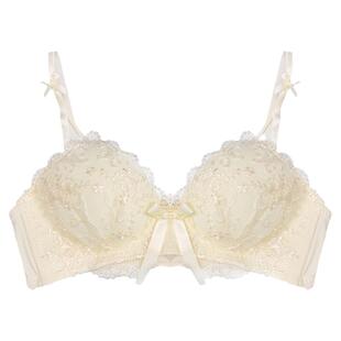 保暖蕾丝少女内衣女秋冬新款无钢圈胸罩舒适小胸聚拢显大文胸套装