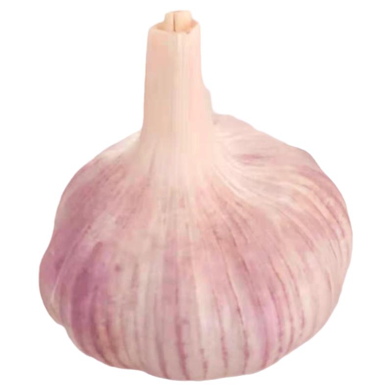 大蒜头干蒜5斤蔬菜河南杞县紫皮大蒜农家种籽2025新鲜干大蒜种子