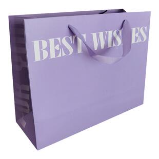 高级感紫色礼品袋服装店手提袋定制定做纸袋化妆品服装店logo订制