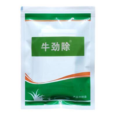 马尼拉百慕大台湾牛筋草