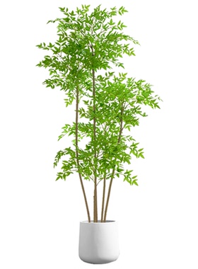 森泰仿真绿植南天竹直播间氛围树