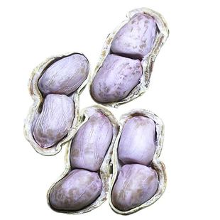 2025年新货水煮花生晒干农家水煮咸干花生白晒花生坚果零食特产