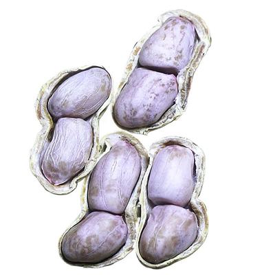 2025年新货水煮花生晒干农家水煮咸干花生白晒花生坚果零食特产