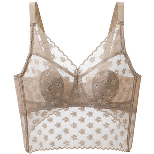 性感蕾丝美背中长款内衣女超薄透气全罩杯收副乳文胸大胸显小C95D