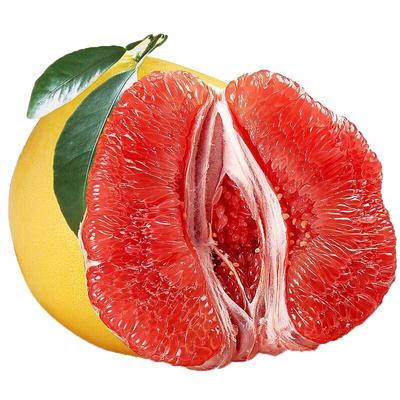 送礼推荐平和红心柚子礼盒