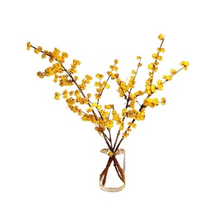 腊梅花鲜花水养鲜切花干枝蜡梅鲜花年宵花卉水培植物花束客厅摆设