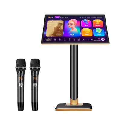 音创双话筒内置DSP混响点歌机