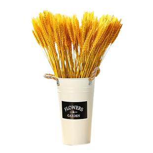 黄金麦穗干花花束开业大麦客厅田园装饰摆件干花插花拍摄氛围道具