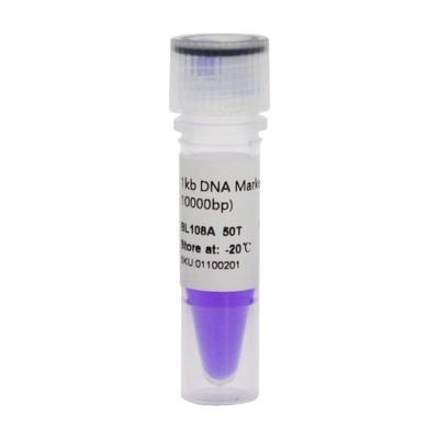 白鲨BiosharpBL108A 1kb DNA Marker 分子量标准(1000-10000bp)