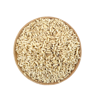 鹦鹉鸟食燕麦米燕麦仁雀麦野麦虎皮玄凤牡丹小太阳鸟粮食营养饲料