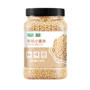 九月的诗有机小麦仁米1000g*1罐去皮脱皮全谷物胚芽五谷杂粮粥