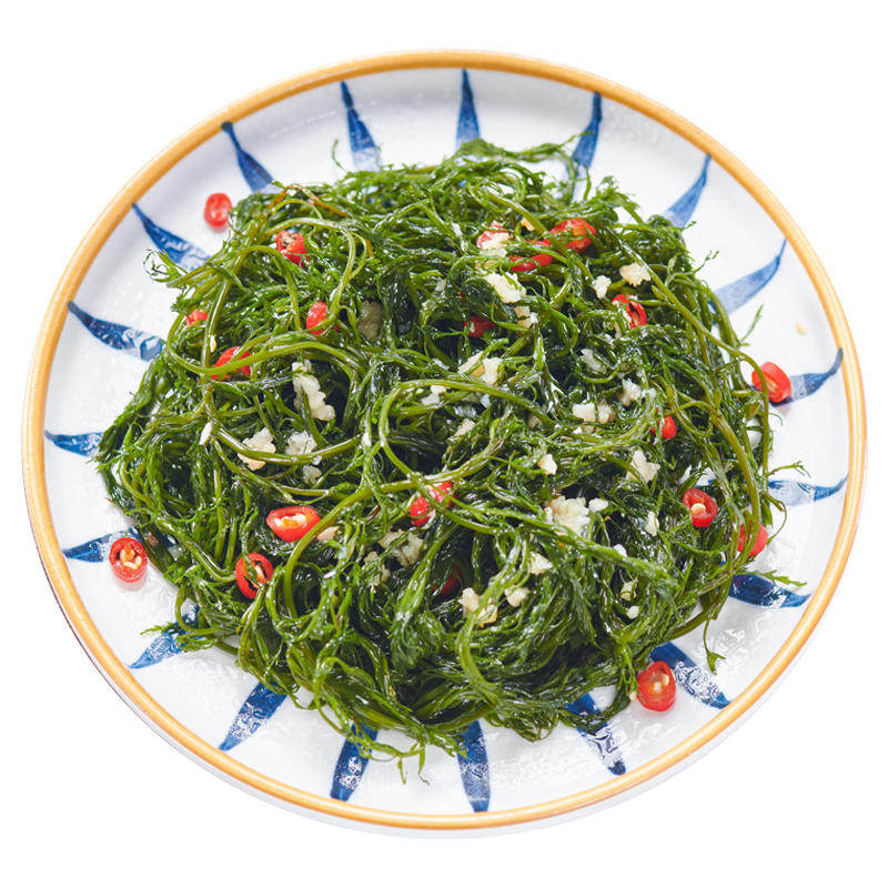 盐渍鞭炮笋270g10袋马尾藻海藻长寿菜凉拌海草火锅食材批发商用
