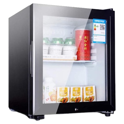 食品留样柜专用柜双锁小冰箱