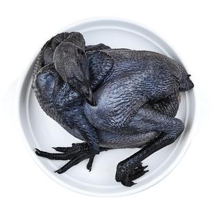 乌鸡新鲜现杀土鸡乌骨鸡五黑鸡正宗农家散养走地鸡农村月子老母鸡