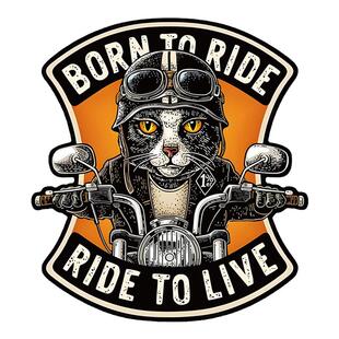 车身贴画适用于豪爵UHR150贴纸拉花风挡车贴动漫威贴花改装版画贴