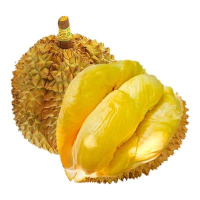 泰国进口金枕榴莲|少房包赔！