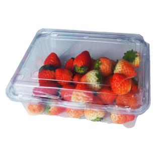 一次性水果盒带盖透明塑料包装果蔬保鲜盒草莓果切打包空盒子500m