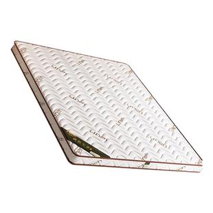 椰棕床垫棕垫棕榈硬垫子折叠1.5米可定制1.8米经济型护腰家用床垫