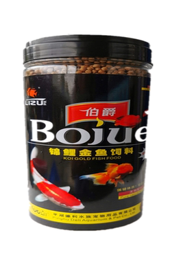 金鱼黄金白金龙凤锦鲤