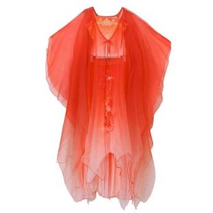 儿童古典舞蹈服女童超仙锦鲤同款古风飘逸大袖衫大摆裙舞蹈演出