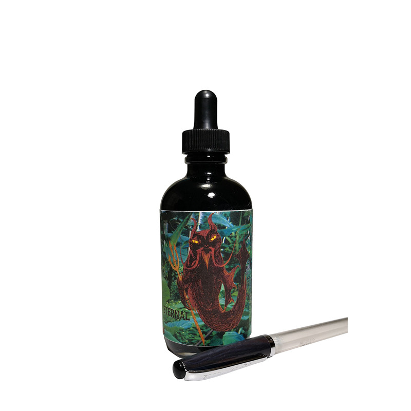 Noodler'sInk美国鲶鱼墨水永恒黑黑暗之心鳗鱼黑非碳彩色钢笔墨水