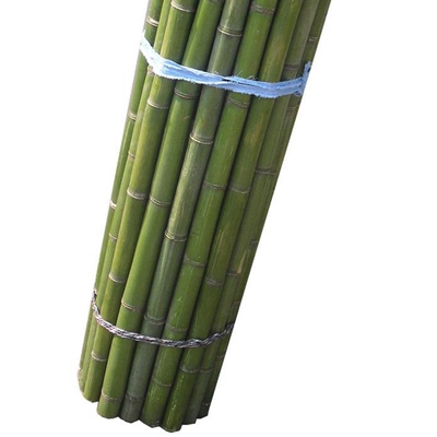 竹竿菜园搭架蔬菜黄瓜番茄豆角架杆竹篱笆栅栏小竹子细竹竿葡萄架