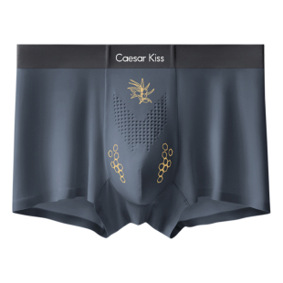 CaesarKiss莫代尔男士内裤男生款2026新款高档防阴囊透气潮湿四角