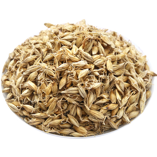 稻芽500g克新货稻谷芽中药材生稻芽另有炒稻芽生麦芽生谷芽双芽水