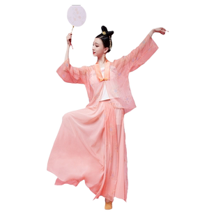 古典舞身韵纱衣短款汉唐舞蹈服粉色裙子练功上衣古典舞演出服仙气