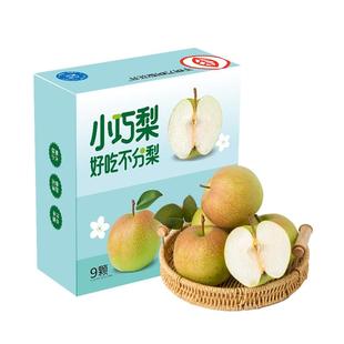 隰县玉露香梨整箱梨山西临汾隰县小西天特产送礼小巧梨彩箱