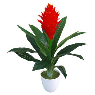 4头5头六头鸿运当头花仿真花盆景盆栽假红运当头绿植塑料花装饰花