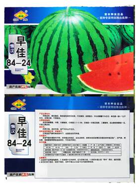 超甜麒麟瓜8424好吃好卖