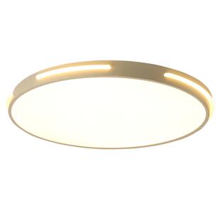椭圆形led吸顶灯卧室餐厅灯简约现代房间灯书房客厅灯具无极调光