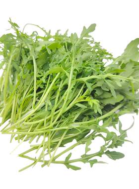 新鲜即食芝麻叶芝麻菜健身低脂火箭菜西餐蔬菜沙拉生吃菜食材包邮